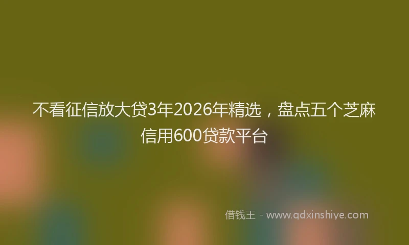 不看征信放大贷3年2026年精选，盘点五个芝麻信用600贷款平台