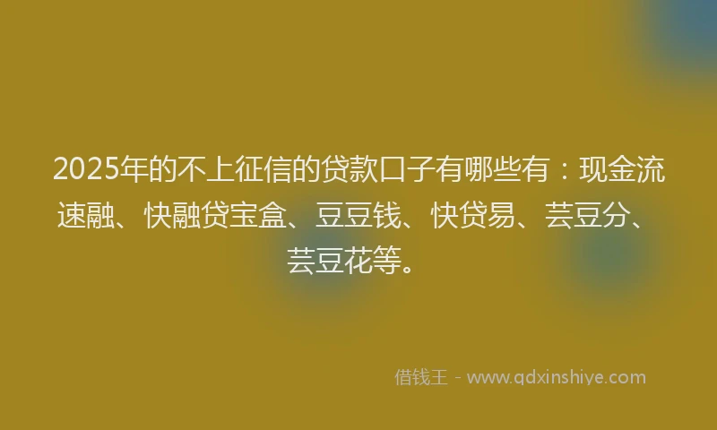 2025年的不上征信的贷款口子有哪些有：现金流速融、快融贷宝盒、豆豆钱、快贷易、芸豆分、芸豆花等。