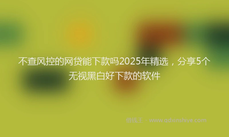 不查风控的网贷能下款吗2025年精选,分享5个无视黑白好下款的软件