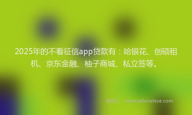 2025年的不看征信app贷款有：哈银花、创硕租机、京东金融、柚子商城、私立签等。