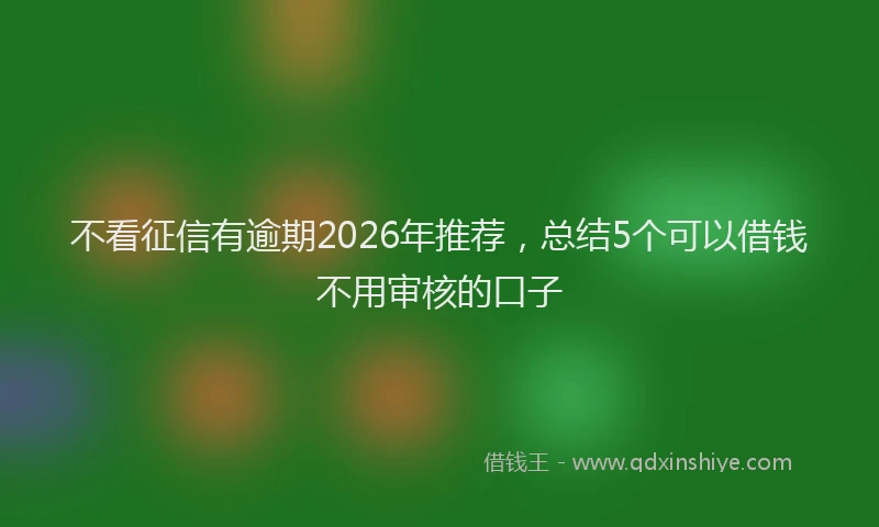 不看征信有逾期2026年推荐，总结5个可以借钱不用审核的口子