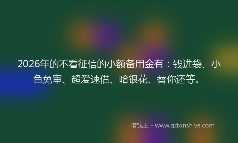 2026年的不看征信的小额备用金有：钱进袋、小鱼免审、超爱速借、哈银花、替你还等。