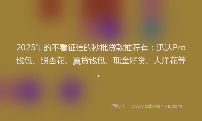 2025年的不看征信的秒批贷款推荐有：迅达Pro钱包、银杏花、翼贷钱包、现金好贷、大洋花等。