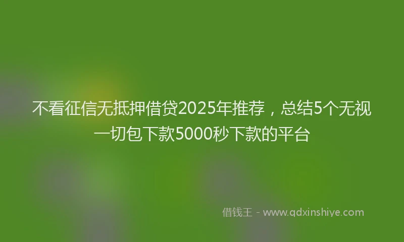 不看征信无抵押借贷2025年推荐,总结5个无视一切包下款5000秒下款的平台