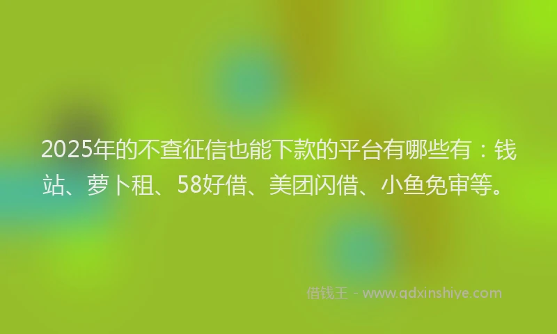 2025年的不查征信也能下款的平台有哪些有：钱站、萝卜租、58好借、美团闪借、小鱼免审等。