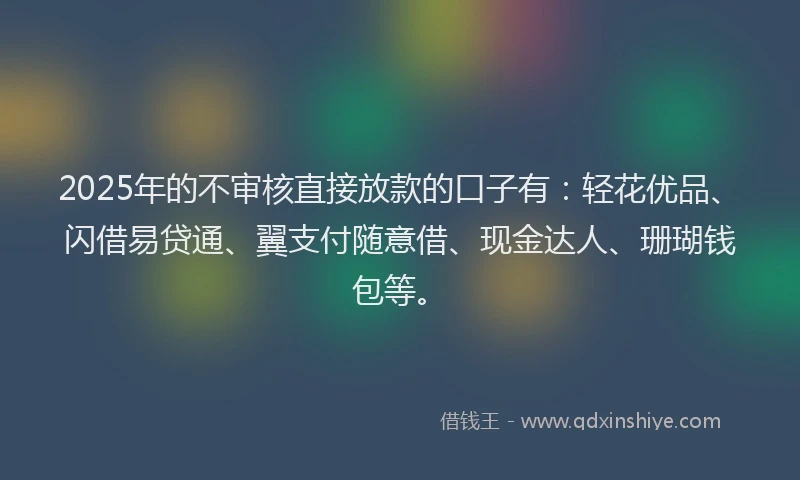 2025年的不审核直接放款的口子有：轻花优品、闪借易贷通、翼支付随意借、现金达人、珊瑚钱包等。