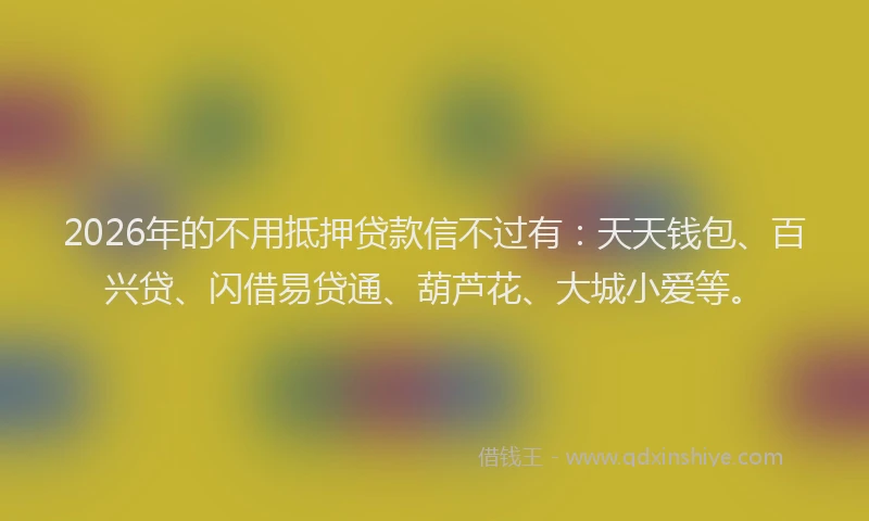 2026年的不用抵押贷款信不过有:天天钱包、百兴贷、闪借易贷通、葫芦花、大城小爱等。