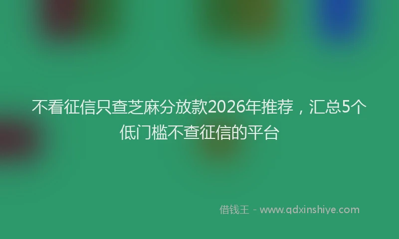 不看征信只查芝麻分放款2026年推荐，汇总5个低门槛不查征信的平台