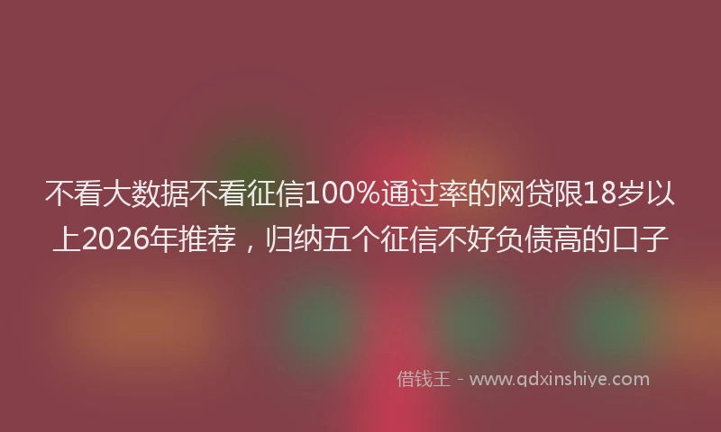 不看大数据不看征信100%通过率的网贷限18岁以上2026年推荐，归纳五个征信不好负债高的口子