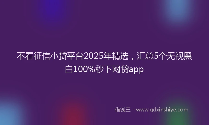 不看征信小贷平台2025年精选,汇总5个无视黑白100%秒下网贷app