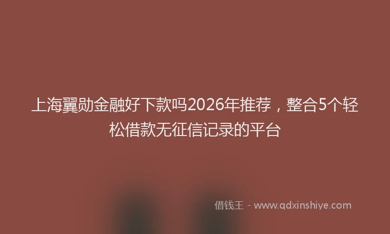 上海翼勋金融好下款吗2026年推荐，整合5个轻松借款无征信记录的平台