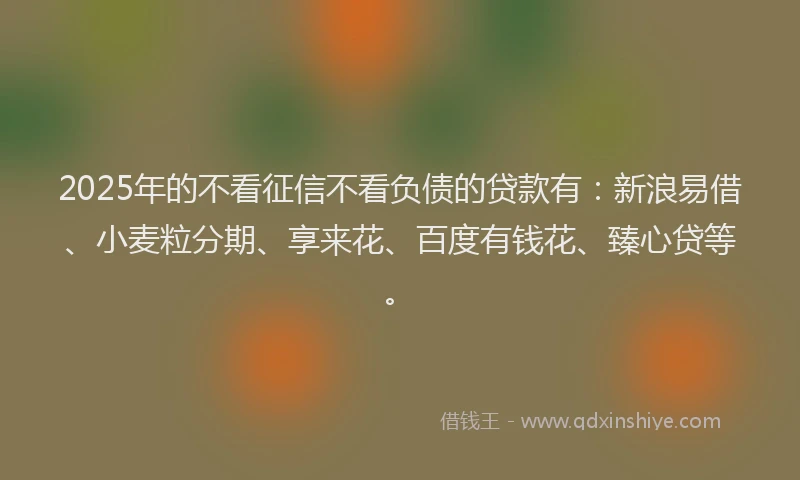 2025年的不看征信不看负债的贷款有：新浪易借、小麦粒分期、享来花、百度有钱花、臻心贷等。