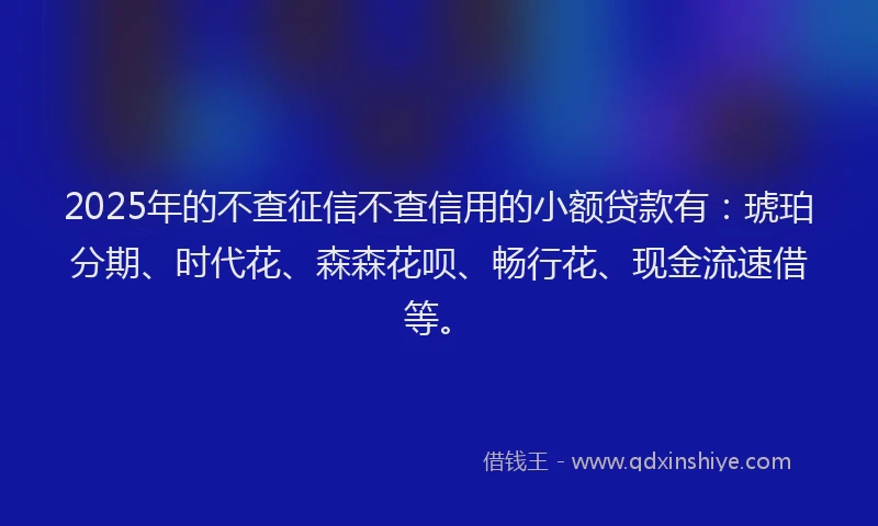 2025年的不查征信不查信用的小额贷款有：琥珀分期、时代花、森森花呗、畅行花、现金流速借等。