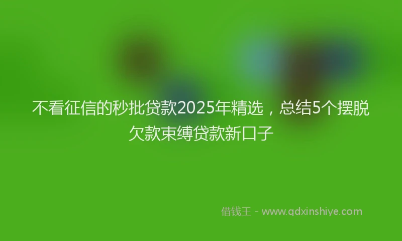 不看征信的秒批贷款2025年精选，总结5个摆脱欠款束缚贷款新口子