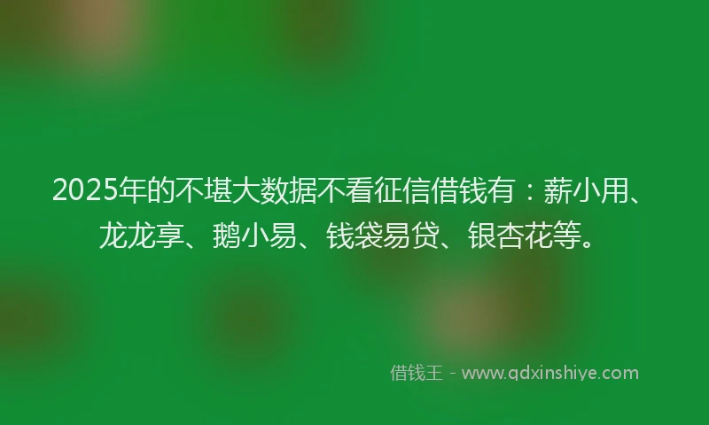 2025年的不堪大数据不看征信借钱有：薪小用、龙龙享、鹅小易、钱袋易贷、银杏花等。