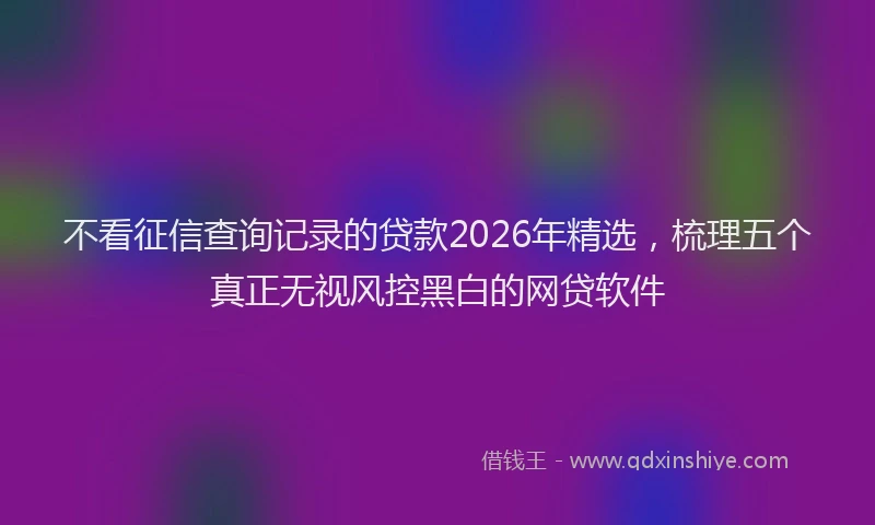 不看征信查询记录的贷款2026年精选，梳理五个真正无视风控黑白的网贷软件
