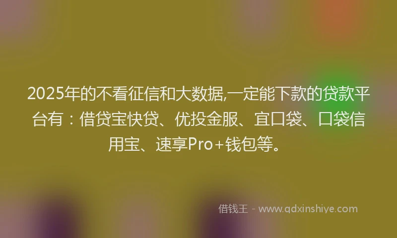 2025年的不看征信和大数据,一定能下款的贷款平台有：借贷宝快贷、优投金服、宜口袋、口袋信用宝、速享Pro+钱包等。