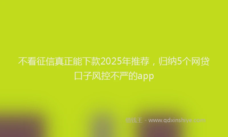 不看征信真正能下款2025年推荐，归纳5个网贷口子风控不严的app