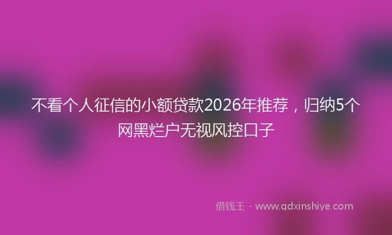 不看个人征信的小额贷款2026年推荐，归纳5个网黑烂户无视风控口子