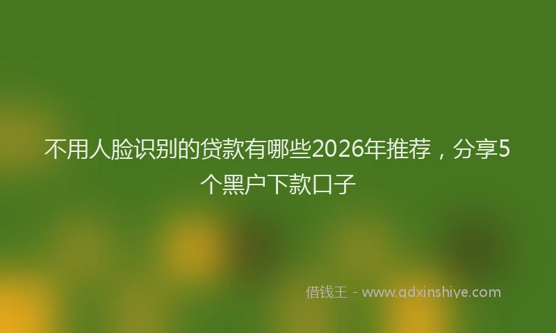 不用人脸识别的贷款有哪些2026年推荐，分享5个黑户下款口子