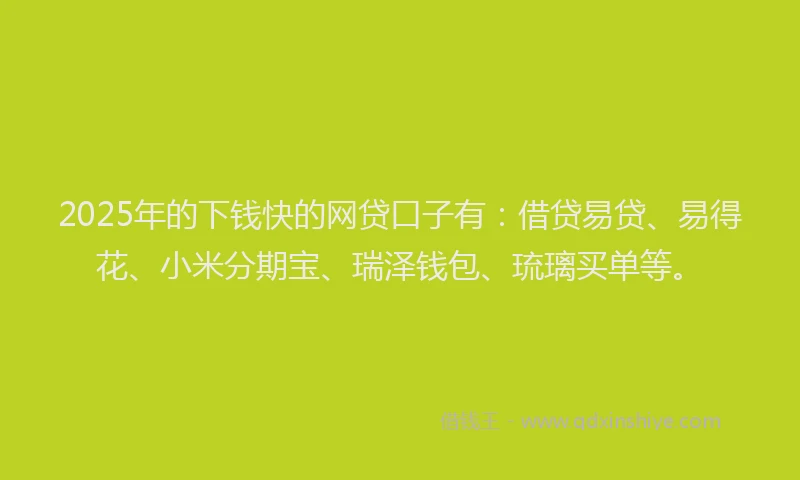2025年的下钱快的网贷口子有：借贷易贷、易得花、小米分期宝、瑞泽钱包、琉璃买单等。