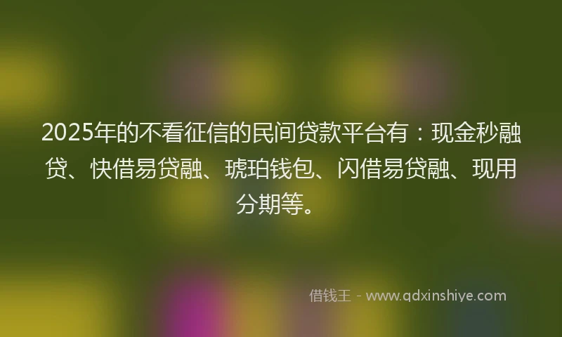2025年的不看征信的民间贷款平台有：现金秒融贷、快借易贷融、琥珀钱包、闪借易贷融、现用分期等。