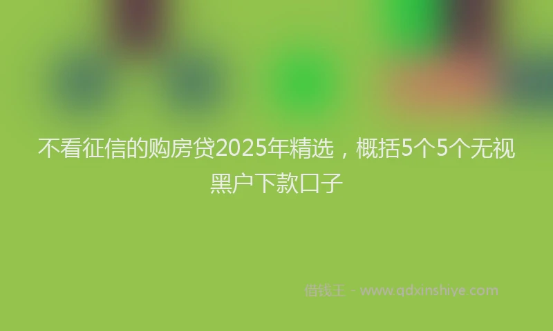 不看征信的购房贷2025年精选,概括5个5个无视黑户下款口子