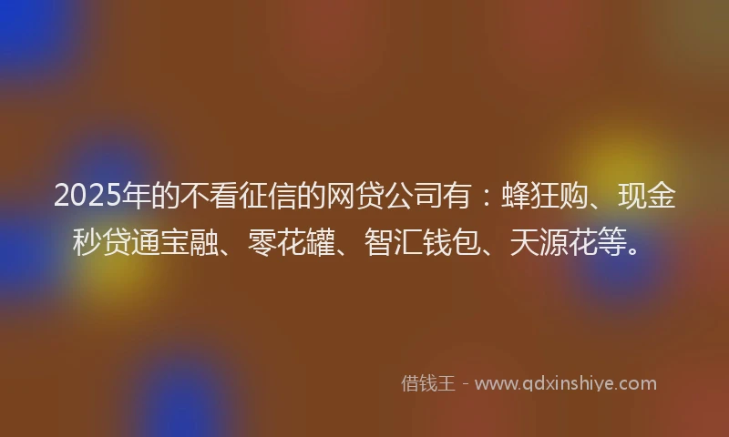 2025年的不看征信的网贷公司有：蜂狂购、现金秒贷通宝融、零花罐、智汇钱包、天源花等。