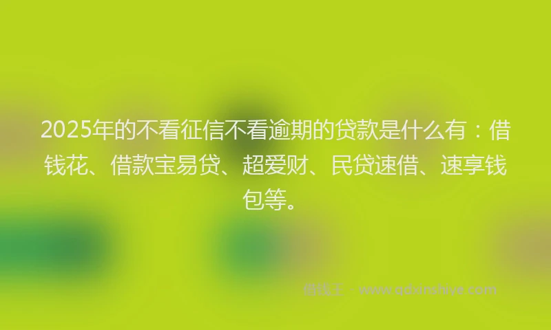 2025年的不看征信不看逾期的贷款是什么有：借钱花、借款宝易贷、超爱财、民贷速借、速享钱包等。