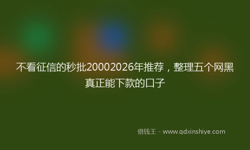 不看征信的秒批20002026年推荐，整理五个网黑真正能下款的口子