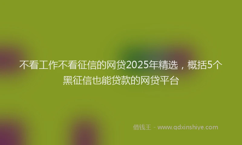 不看工作不看征信的网贷2025年精选，概括5个黑征信也能贷款的网贷平台