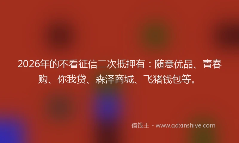 2026年的不看征信二次抵押有：随意优品、青春购、你我贷、森泽商城、飞猪钱包等。