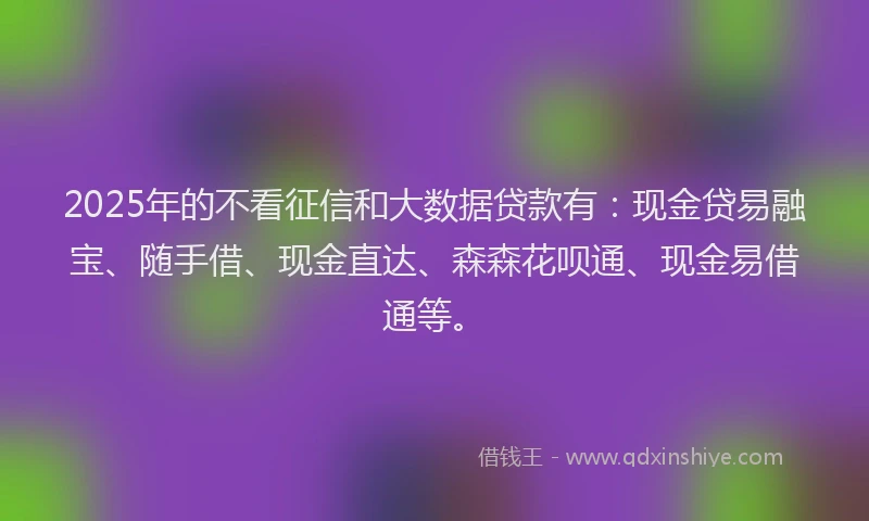 2025年的不看征信和大数据贷款有：现金贷易融宝、随手借、现金直达、森森花呗通、现金易借通等。