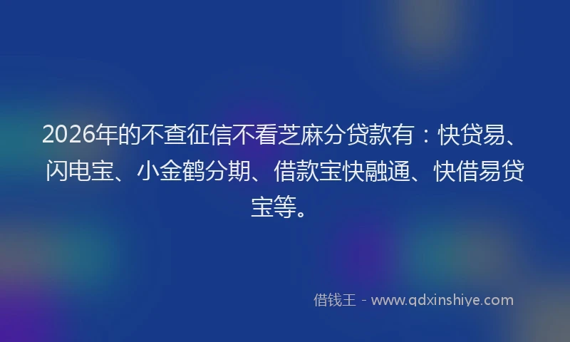 2026年的不查征信不看芝麻分贷款有：快贷易、闪电宝、小金鹤分期、借款宝快融通、快借易贷宝等。