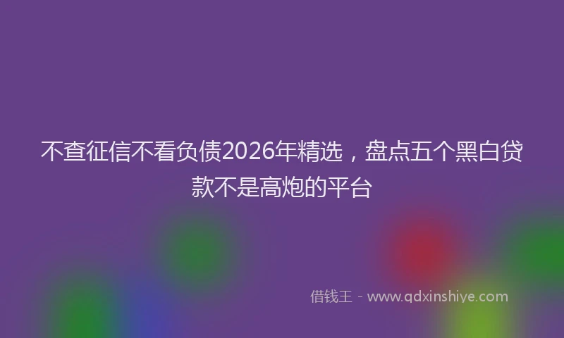 不查征信不看负债2026年精选,盘点五个黑白贷款不是高炮的平台
