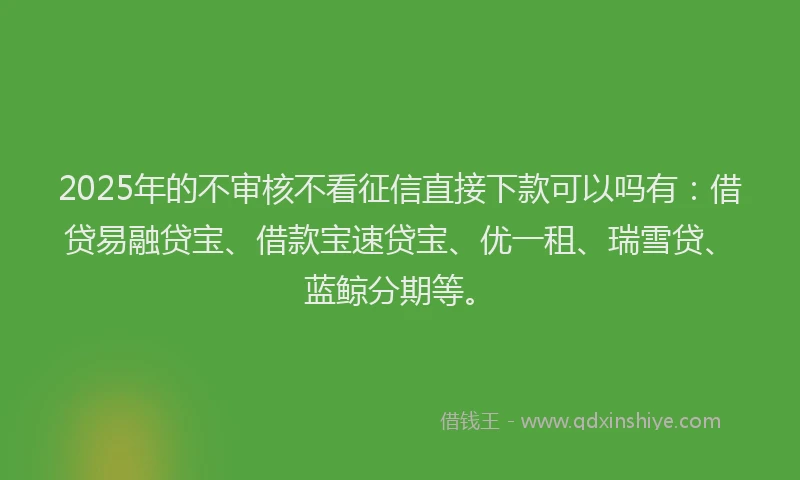 2025年的不审核不看征信直接下款可以吗有：借贷易融贷宝、借款宝速贷宝、优一租、瑞雪贷、蓝鲸分期等。