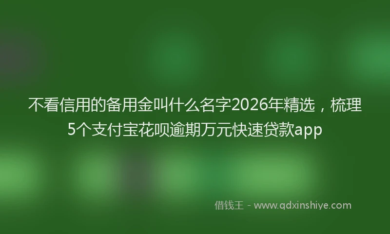 不看信用的备用金叫什么名字2026年精选，梳理5个支付宝花呗逾期万元快速贷款app