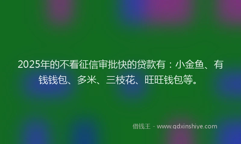 2025年的不看征信审批快的贷款有：小金鱼、有钱钱包、多米、三枝花、旺旺钱包等。