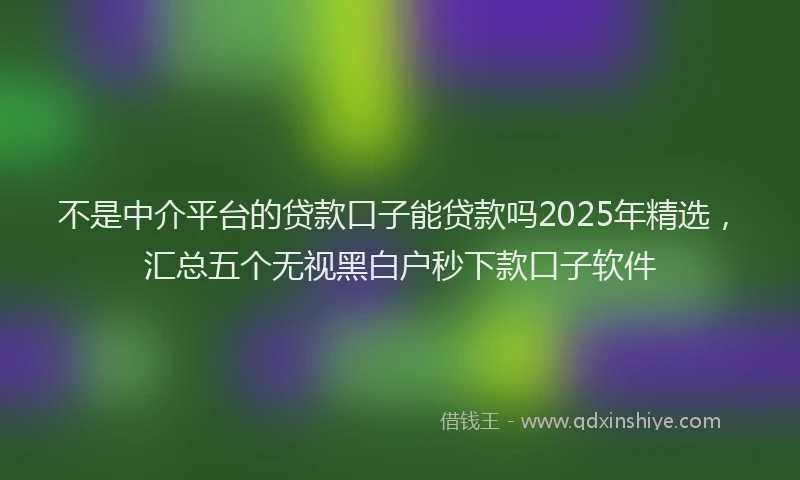 不是中介平台的贷款口子能贷款吗2025年精选,汇总五个无视黑白户秒下款口子软件