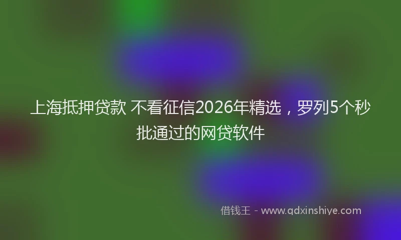 上海抵押贷款 不看征信2026年精选，罗列5个秒批通过的网贷软件