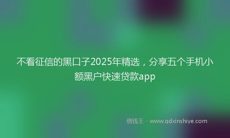 不看征信的黑口子2025年精选，分享五个手机小额黑户快速贷款app