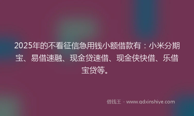 2025年的不看征信急用钱小额借款有:小米分期宝、易借速融、现金贷速借、现金侠快借、乐借宝贷等。
