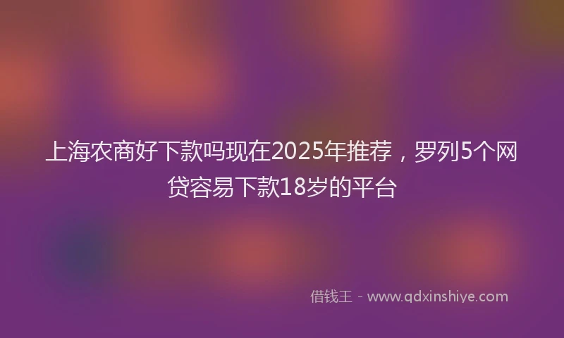 上海农商好下款吗现在2025年推荐，罗列5个网贷容易下款18岁的平台