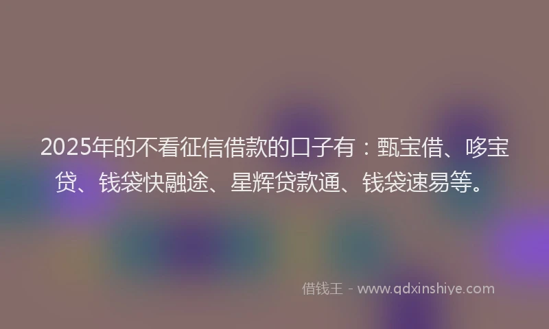 2025年的不看征信借款的口子有：甄宝借、哆宝贷、钱袋快融途、星辉贷款通、钱袋速易等。