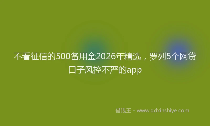 不看征信的500备用金2026年精选，罗列5个网贷口子风控不严的app