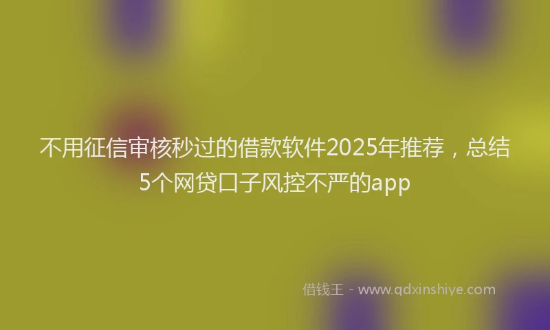不用征信审核秒过的借款软件2025年推荐，总结5个网贷口子风控不严的app