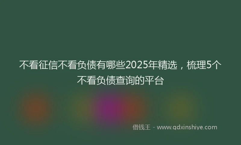 不看征信不看负债有哪些2025年精选，梳理5个不看负债查询的平台
