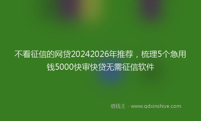不看征信的网贷20242026年推荐，梳理5个急用钱5000快审快贷无需征信软件