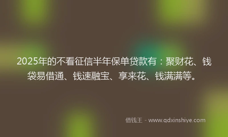 2025年的不看征信半年保单贷款有：聚财花、钱袋易借通、钱速融宝、享来花、钱满满等。