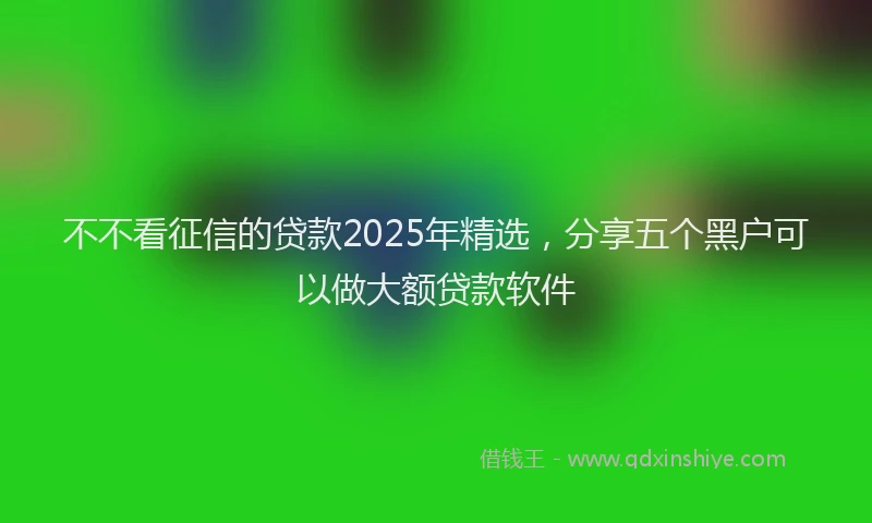 不不看征信的贷款2025年精选，分享五个黑户可以做大额贷款软件